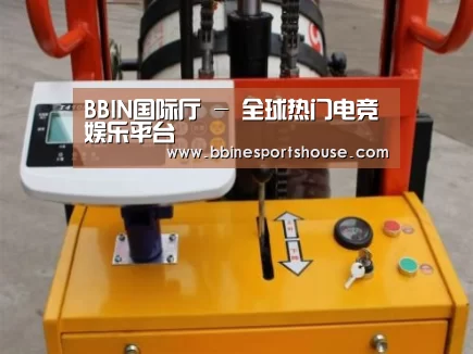 BBIN登录案例展示三