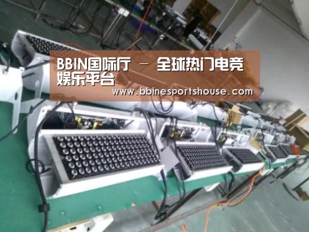 BBIN登录案例展示一