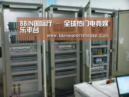 BBIN登录案例展示五(图1)