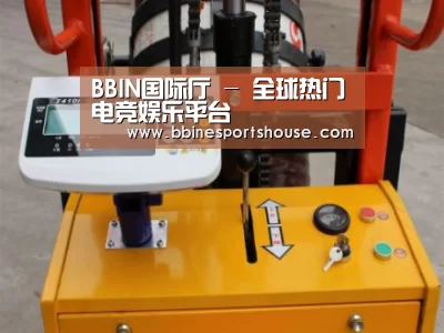 BBIN登录案例展示三(图1)