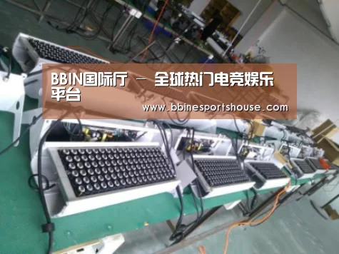 BBIN登录案例展示一(图1)