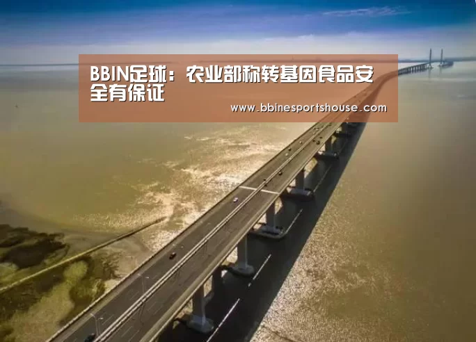 BBIN足球