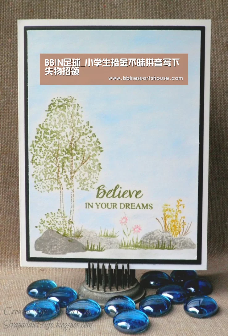 BBIN足球